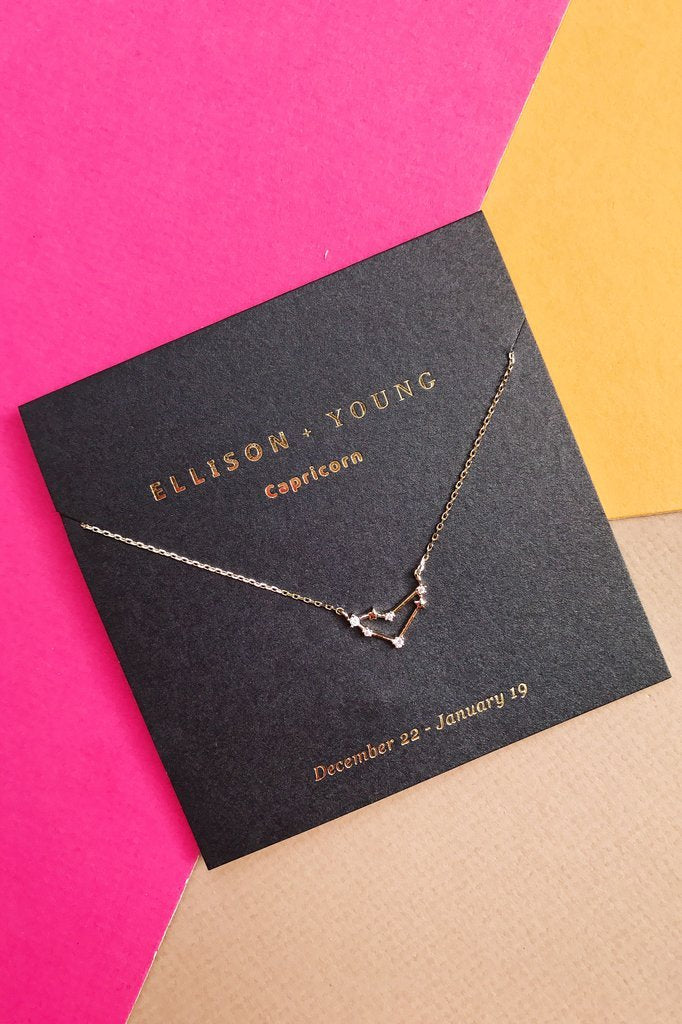 Zodiac Collection Necklace-11