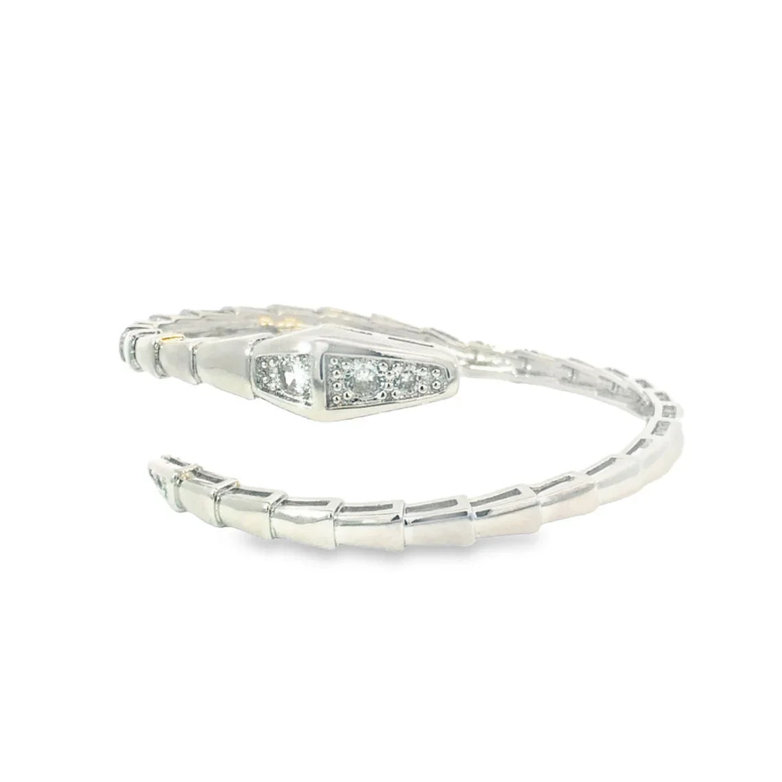 Snake Bangle (B102)-2